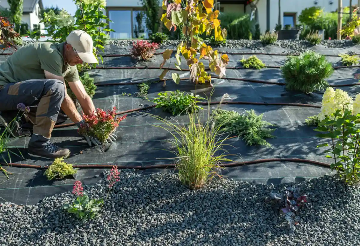 Paradise Amenagement Exterieur Paysagiste Rouillon Realisation 1