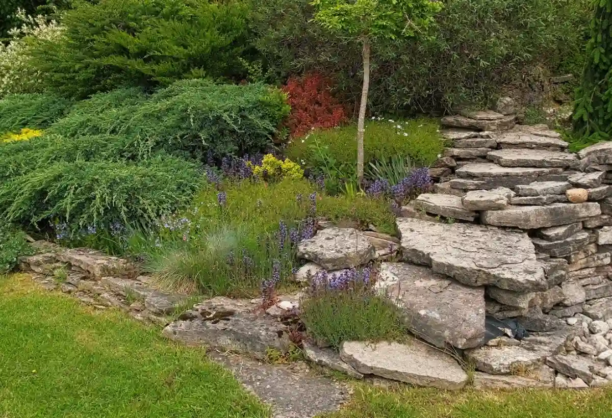 Paradise Amenagement Exterieur Paysagiste Rouillon Realisation 2